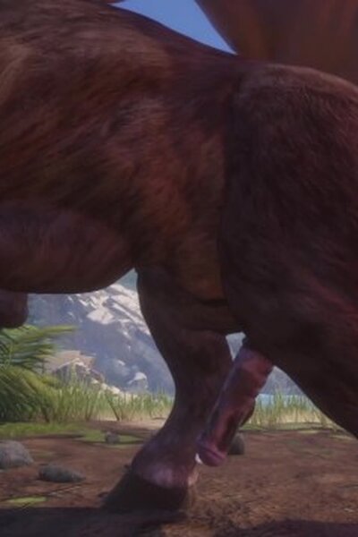 WildLifeFurries