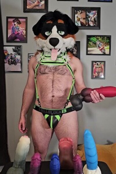 AngryBarks