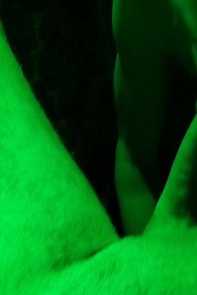 Dan_Dickswallower