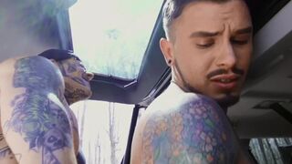 excellent PAINal: moist - Seth Knight with Bo Sinn Yankee Plow