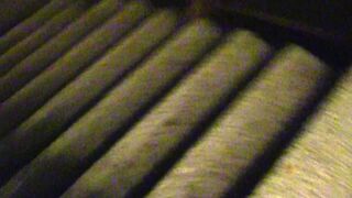 Debt Dandy: The Artistry of Allure: A Model’s Setback