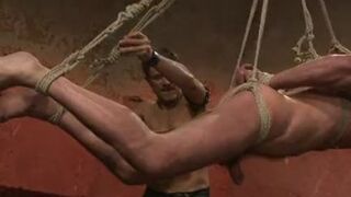 attached Up gay Electro Perplexed And Flogged A