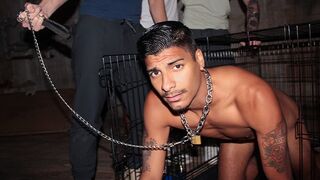 Abased Frat Pledger Apollo Suffers Mind-blowing Hazing: Mutt Encaged, Water Cup, and Rectal Subordination