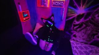 Alleycat fondles off with fresh plaything