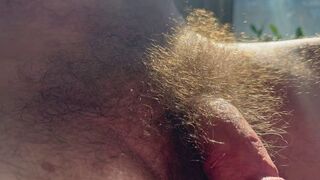 Fur covered DILFs Cuddling in the morning sun